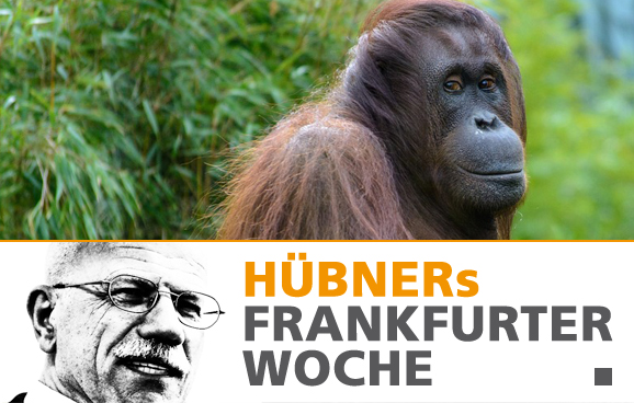 Die kurze Flucht der Frankfurter „Waldmenschen“