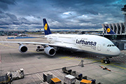Jetzt will Feldmann die Lufthansa „zwangsretten“