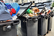 Würstchen in der Gelben Tonne