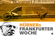E-Scooter sind nicht nur im Main lästig