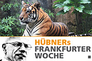 Der einsame Frankfurter Tiger ist tot