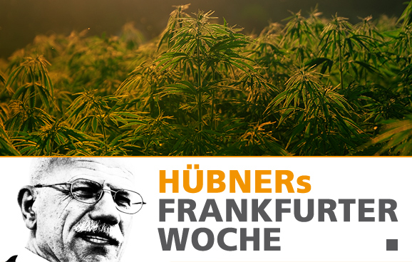 Frankfurter mögen Cannabis – oder nicht?