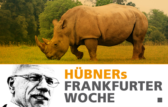 „Kalusho“ ist im Nashornhimmel