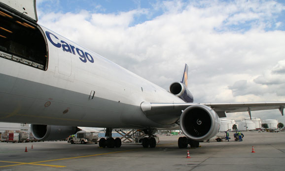 Die Parteien und der Flughafen-Protest