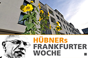 Grüne Hochburgen mit Flüchtlingen unterversorgt