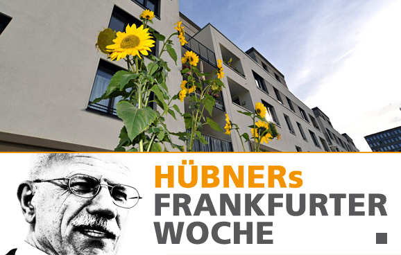 Grüne Hochburgen mit Flüchtlingen unterversorgt