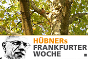Wer ist der Bäumevergifter vom Merianplatz?