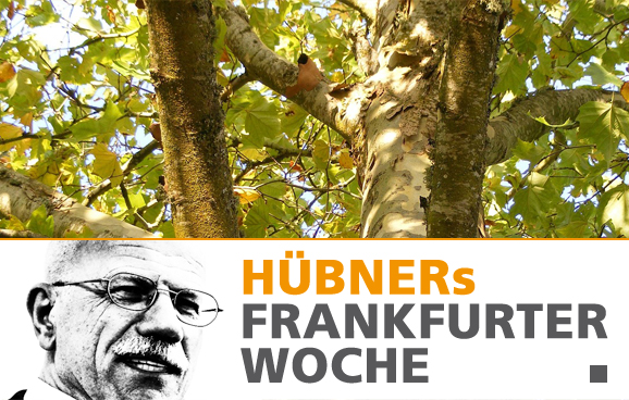 Wer ist der Bäumevergifter vom Merianplatz?