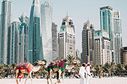 Von Dubai nach Crackfurt