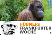 Die kurze Flucht der Frankfurter „Waldmenschen“