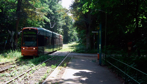 Der honorierte Mörder