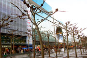 Frankfurts „Palais-Quartier“: Zwischen Spekulation und Leerstand