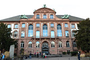 Umbaupläne für das Senckenberg-Museum stoppen