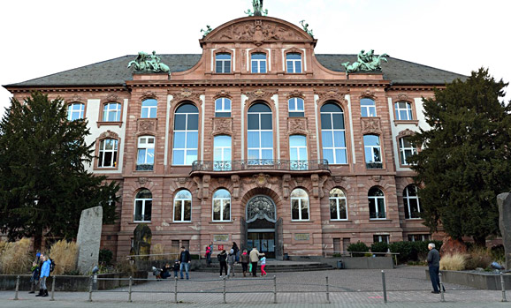 Umbaupläne für das Senckenberg-Museum stoppen