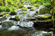 Frankfurts eigene Wasserquellen schützen und nutzen