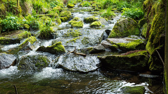 Frankfurts eigene Wasserquellen schützen und nutzen