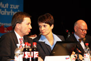 Systemkonforme Parteialternative oder systemoppositionelle Alternativpartei
