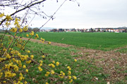 Gefahr für den Pfingstberg in Frankfurts Norden