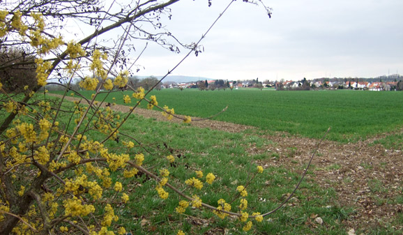 Gefahr für den Pfingstberg in Frankfurts Norden