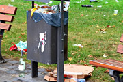 Gegen Müllsünder helfen keine Studien