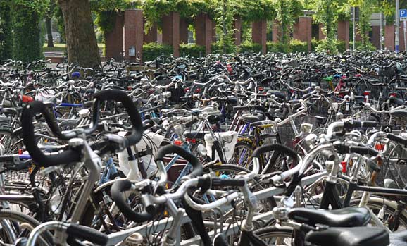 Zorniger Zwischenruf zum Amtsbeginn des grünen Verkehrsdezernenten